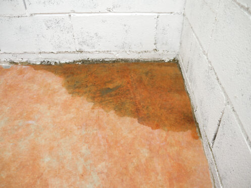 A damp, discolored patch of water damage is visible along the base of a white cinder block wall and floor in the corner of a room, indicating possible plumbing leaks and highlighting slab leak seriousness. | High 5 Plumbing, Heating & Cooling