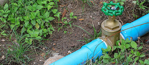 A blue plastic water pipe, part of a recent water line repair, is partially buried in soil, featuring a brass valve with a green handle. Green plants and grass grow around the pipe in the surrounding dirt. | High 5 Plumbing, Heating & Cooling